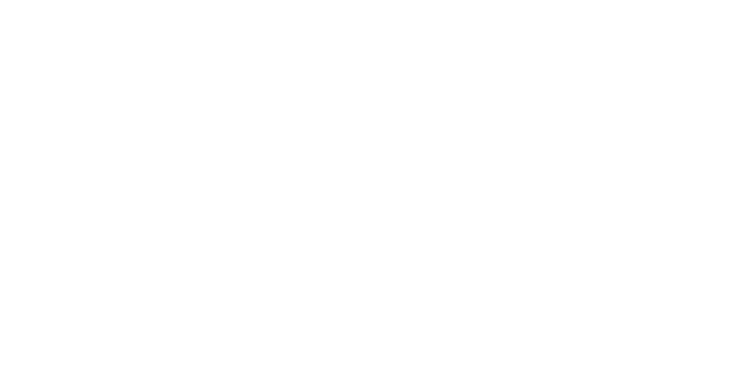 NP Dodge Management